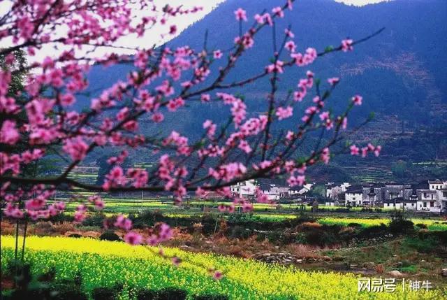 1不去、2不吃、3不宜、4不碰别大意ky开元棋牌明日三月初一提醒中老年：(图3)